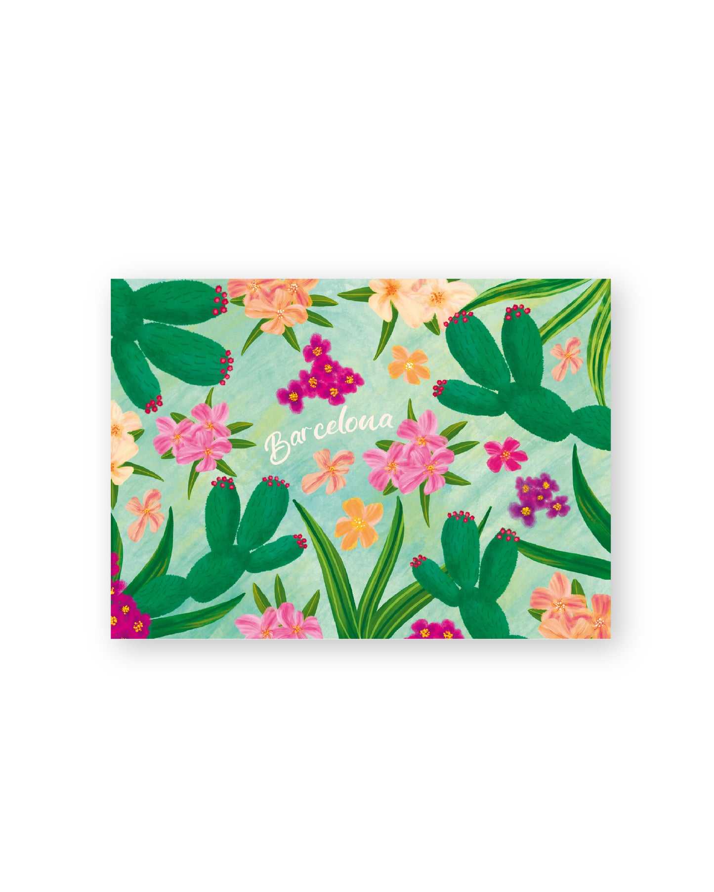 Flores - Barcelona - Colección de ilustraciones artísticas Estampado Papel Postal A6 España Adelfa Cactus Buganvilla Flores Plantas Mediterráneo